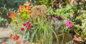 Herbstschale