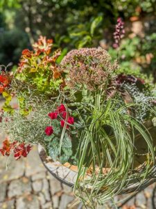 Herbstschale