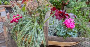 Herbstschale