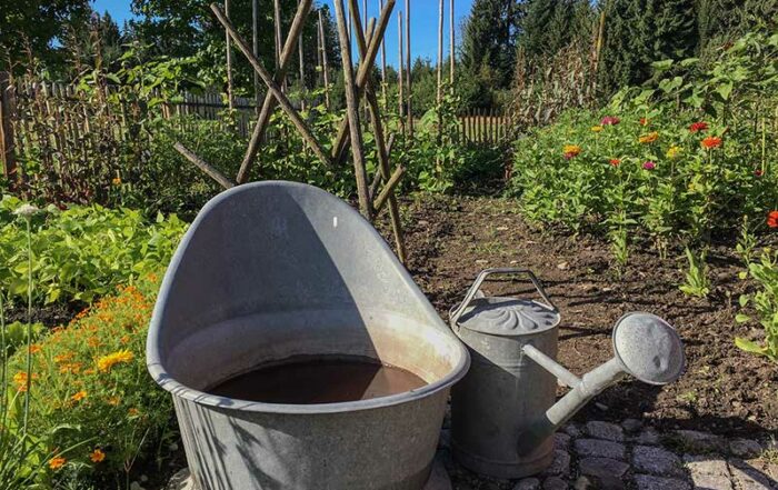 Wasser sammeln