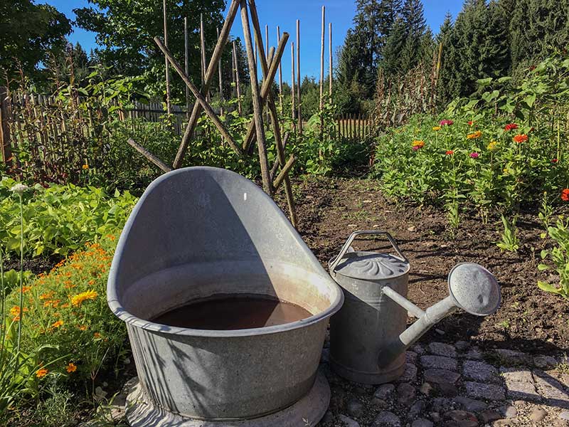 Wasser sammeln