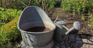 Wasser sammeln