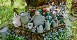 Gie&szlig;kannensammlung - eine Zierde, die bei Trockenheit n&uuml;tzlich ist