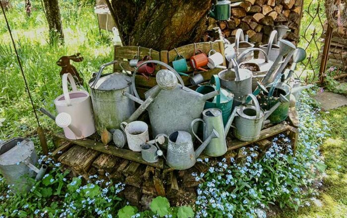 Gie&szlig;kannensammlung - eine Zierde, die bei Trockenheit n&uuml;tzlich ist