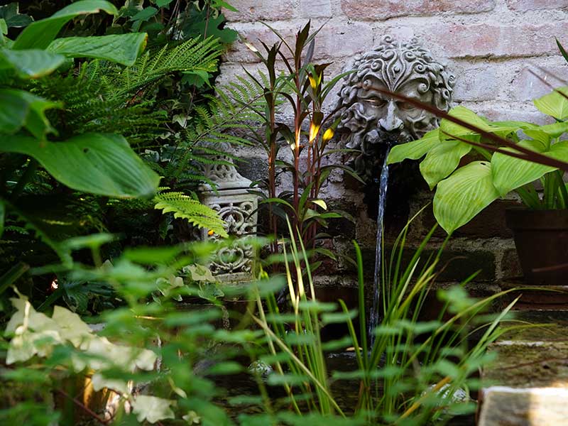 Foto: Leopold Mayrhofer/Natur im Garten