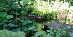 Foto: Leopold Mayrhofer/Natur im Garten