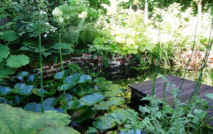 Foto: Leopold Mayrhofer/Natur im Garten