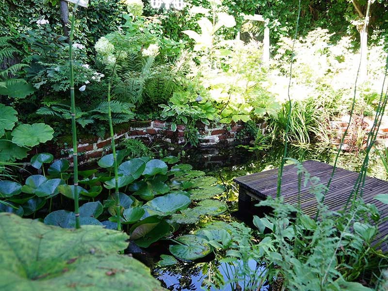 Foto: Leopold Mayrhofer/Natur im Garten
