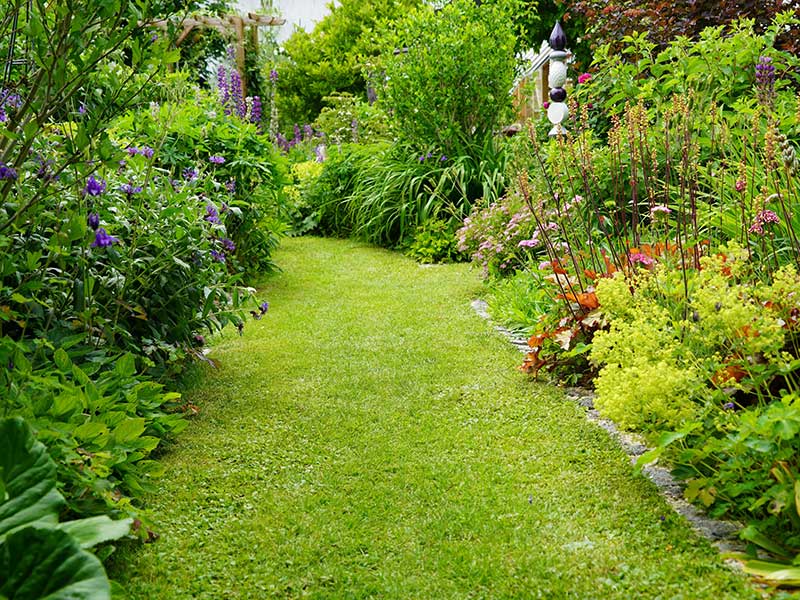 Bild: Leopold Mayrhofer/Natur im Garten