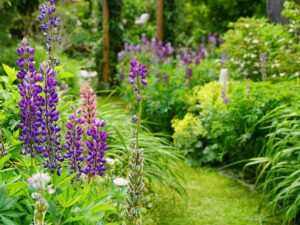Bild: Leopold Mayrhofer/Natur im Garten