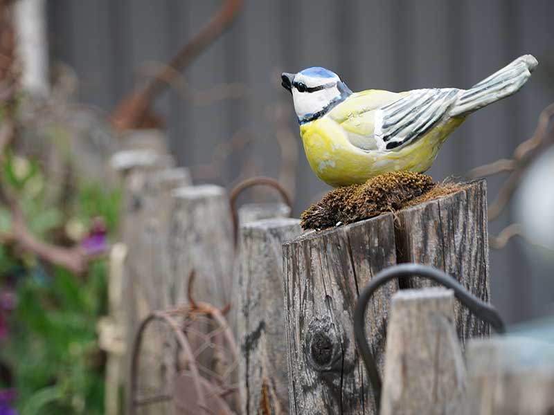 Bild: Leopold Mayrhofer/Natur im Garten