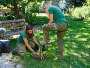 Foto: Leopold Mayrhofer/Natur im Garten
