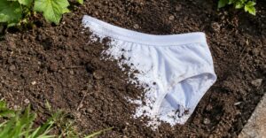 Eingegrabene Unterhose