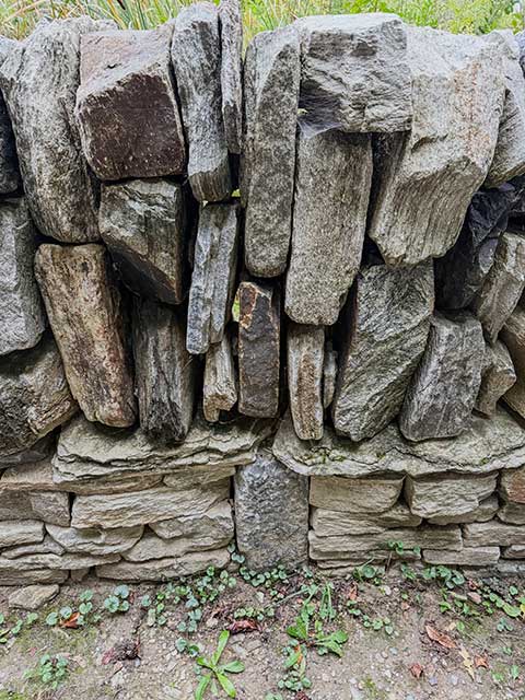 Steinmauer – Oase für Tiere Steinmauer - Oase für Tiere