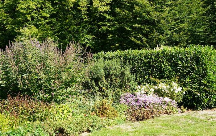 Foto: Leopold Mayrhofer/Natur im Garten
