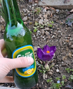 Fr&uuml;hling in der Fastenzeit ;)