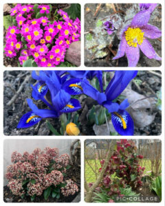 Fr&uuml;hling in Innsbruck