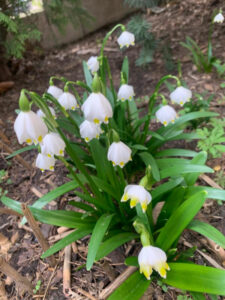 Fr&uuml;hlingsgef&uuml;hle