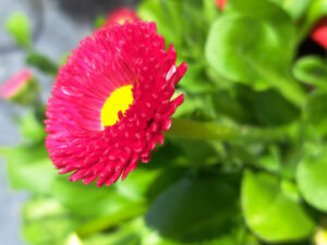 Bunt bunt bunt